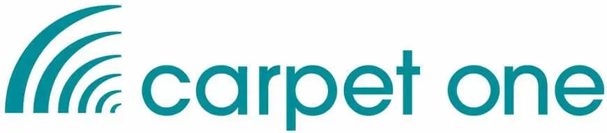 Carpet One Case Study